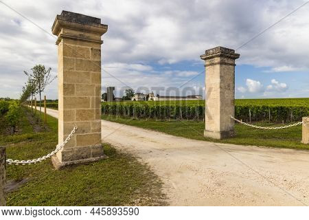 Typical vineyards near Saint-Julien-Beychevelle, Bordeaux, Aquitaine, France