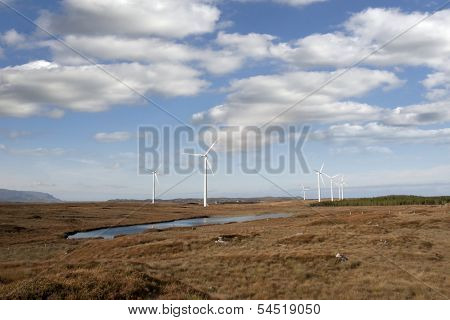Marshy Bogland With Wind Turbines