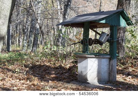 Water Well In Forest