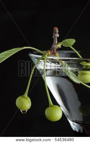 Unripe Green Cherry In Martini Glass On Black