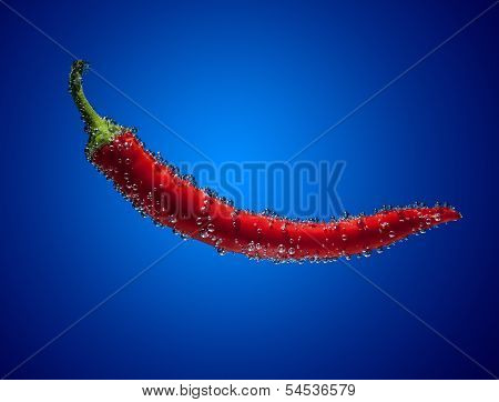 Chili Pepper Into Water On Blue