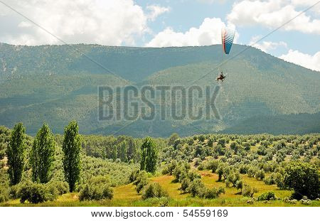 Paraglider In Flight