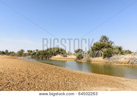 Oasis With Pond In Desert (oman)