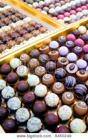 Collection of Pralines