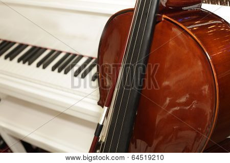violin