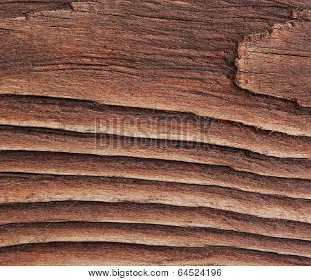 Wood Texture.