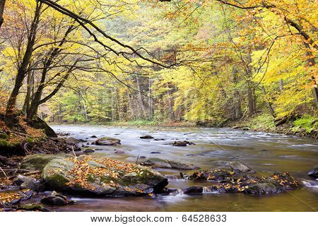 Metuje river in autumn, Czech Republic