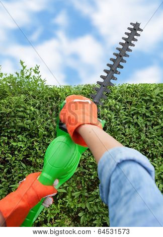 Woman trimming bushes using an electrical hedge trimmer, gardening concept