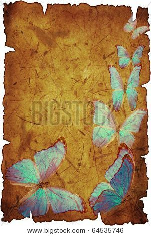 Blue Butterfly