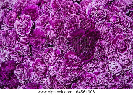 Flower pattern and texture