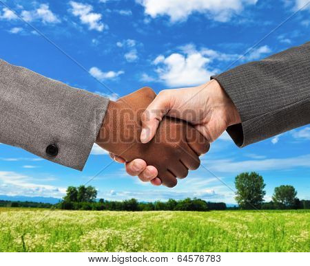 Business people shaking hands in front of a grass field