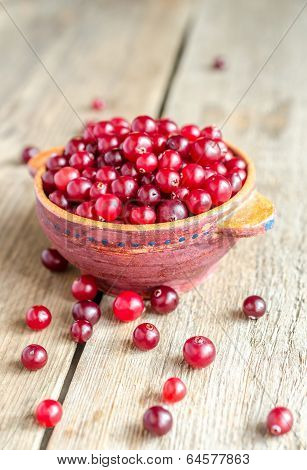 Bowl With Fresh Cranberries