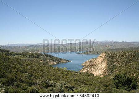 Forest lake