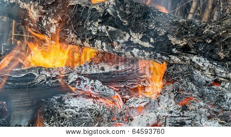 Fire