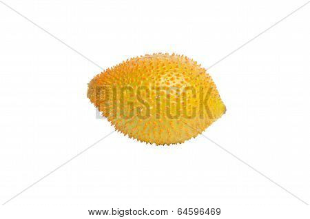 Spiny Bitter Gourd isolated on white background