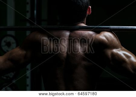 Living Strong - Barbell Squat
