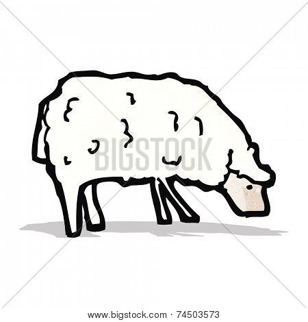 sheep cartoon