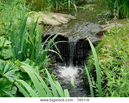 stream1