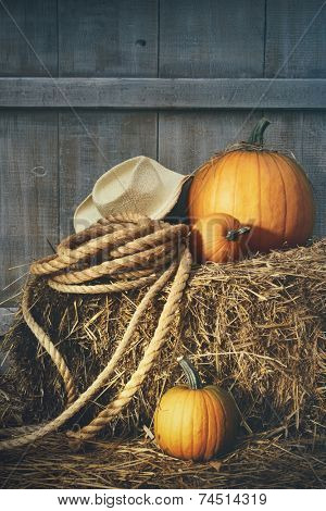Pumpkins with rope and hat on a bale of hay