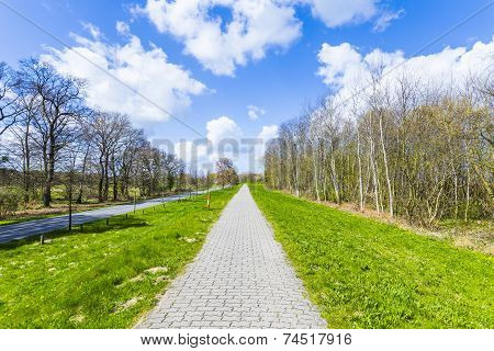 Levee With Sandy Path To Beach At Baltic Sea