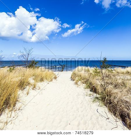 Levee With Sandy Path To Beach At Baltic Sea