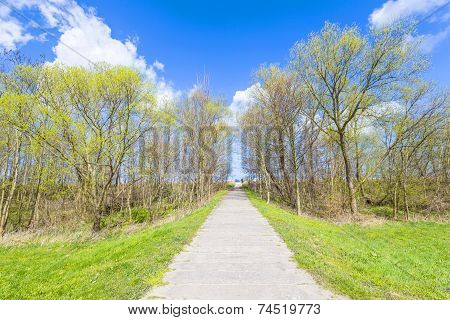 Levee With Sandy Path To Beach At Baltic Sea
