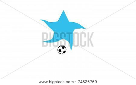 Football Star