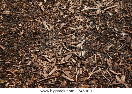Trucioli di legno