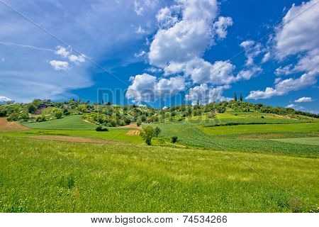 Idyllic Africultural Green Landscape Of Croatia