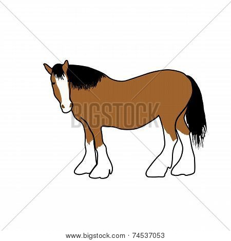 animals. horse