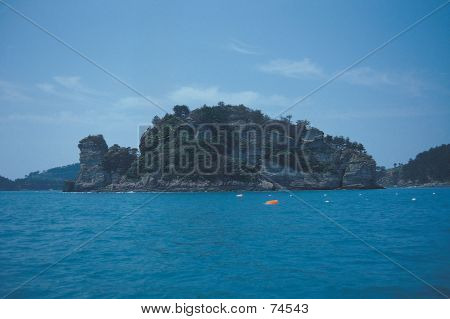 Natura vista