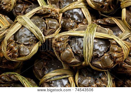 Hairy crabs