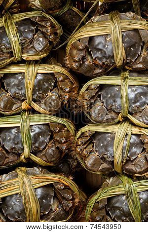 Uncooked Hairy crabs