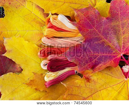 Colors Of Autumn, Multicolor Yarns Looks Like Autumn Leaves