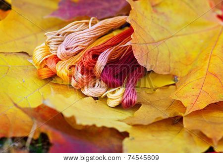 Colors Of Autumn, Multicolor Yarns Looks Like Autumn Leaves