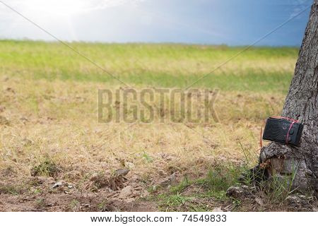 Old transistor radio on rice farm