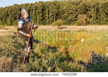 Medieval Knight