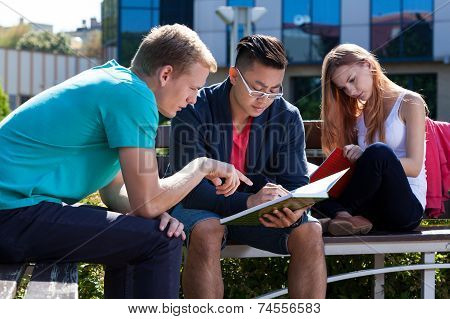International Students Learning Together Outside