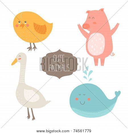 Cute Animals Collection