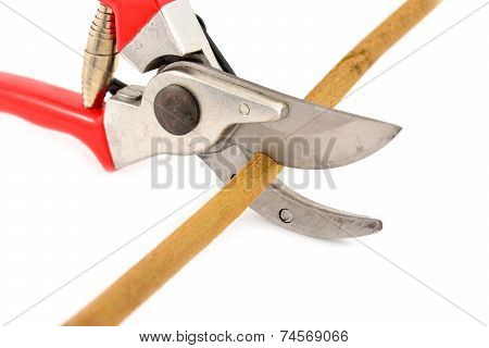 Red Garden Secateurs