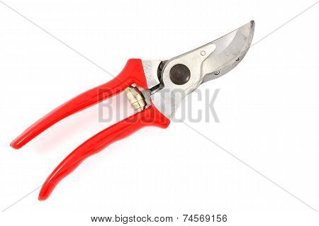 Red Garden Secateurs