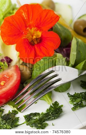 salad