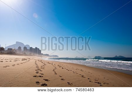 Morning in the Beach