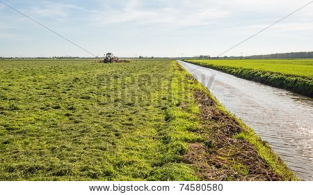 Freshly Mown Grassland Bordering On A Ditch
