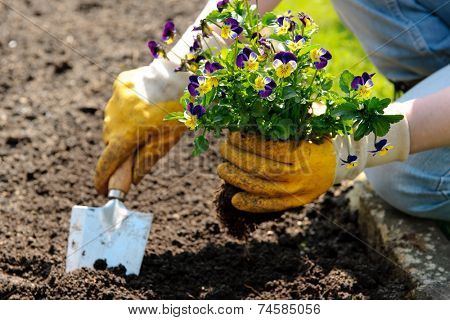 gardening