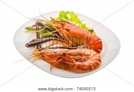 Giant Freshwater Prawn And King Prawns