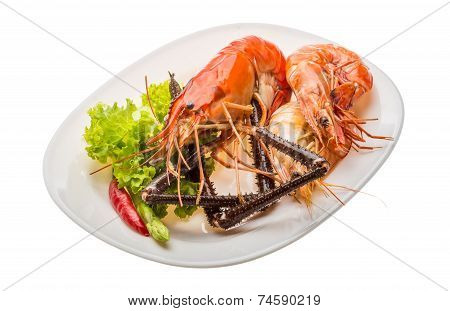 Giant Freshwater Prawn And King Prawns
