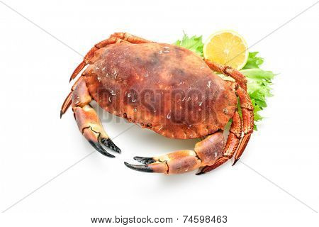 red boiled crab isolated on white background
