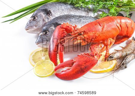 red lobster and sea bream fish with lemon and vegetables on white background