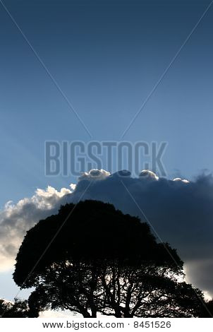 Bulutlar